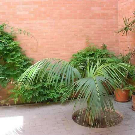 Residencia Universitaria Alberto Jimenez Fraud *